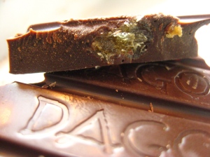 A Bit of Ginger in Dagoba's  Organic Dark Chocolate